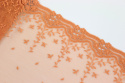 Szeroki ciemnopomarańczowy haftz bawełnianą gipiurą 1mb